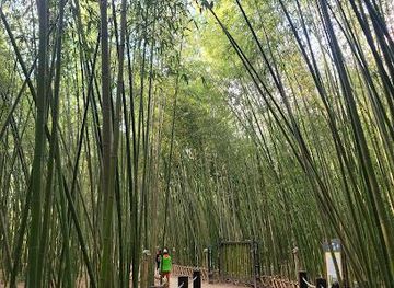 south-korea/gyeongju/attraction/taehwagang-national-garden