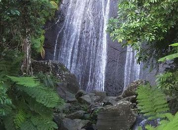 puerto-rico/vieques/attraction/el-yunque-national-forest