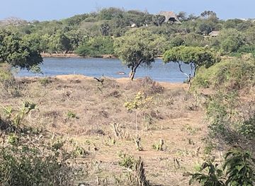 kenya/malindi/attraction/camp-gedeng