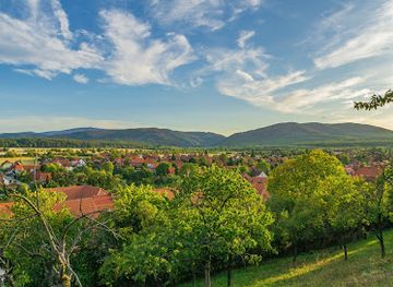 germany/harz/attraction/stapelburg-castle