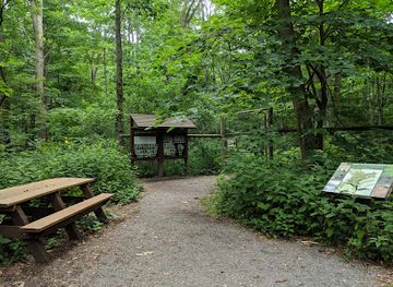 new-york/ithaca/attraction/mundy-wildflower-garden