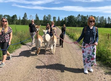 sweden/karlstad/attraction/karlstad-alpackagard