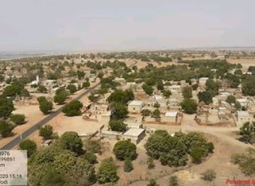 senegal/sine-saloum-delta/attraction/gague-mody