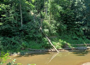 indiana/brown-county-state-park/attraction/salt-creek-trail