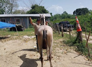 honduras/cusuco-national-park/attraction/finca-paredes