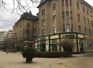 hungary/debrecen/attraction/kalvin-teri-ordogcerna-mas-neven-licium-lycium-barbarum