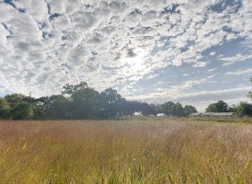 louisiana/kisatchie-national-forest/attraction/cajun-prairie-habitat-preservation-society