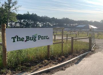 united-kingdom/east-of-england/attraction/the-bug-parc