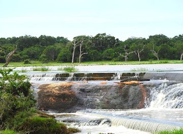 sri-lanka/bundala-national-park/attraction/yala-leopard-eye-safari