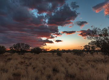 australia/red-centre/attraction/the-kangaroo-sanctuary