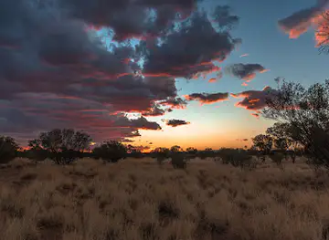 The Kangaroo Sanctuary