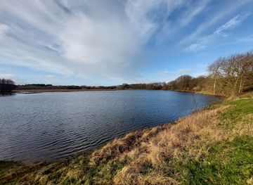 netherlands/egmond-aan-zee/attraction/noord-hollands-duinreservaat