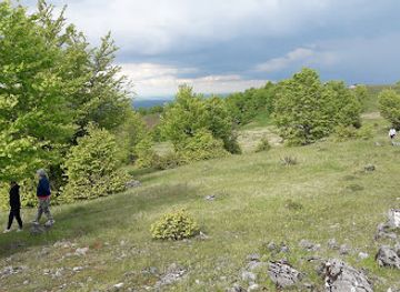 romania/salaj/attraction/rezervatia-peisagistica-tusa-barcau