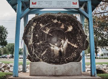 wisconsin/southeast-wisconsin/attraction/this-big-one