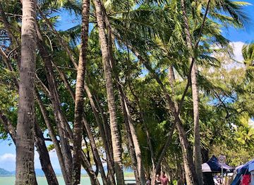 australia/cairns/palm-cove/attraction/palm-beach