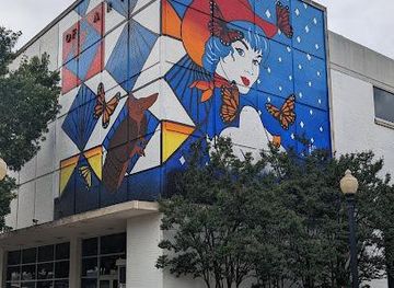 texas/dallas/attraction/arlington-museum-of-art