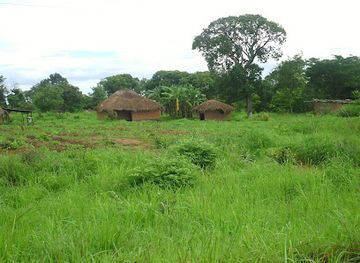 zambia/northern-province/attraction/chipili