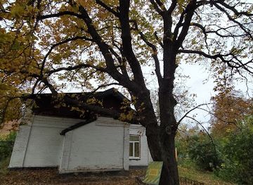 ukraine/poltava-region/attraction/kashtan-vavilova