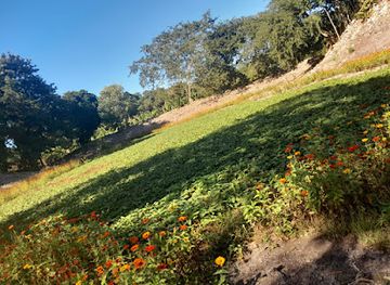 belize/corozal-district/attraction/puuc-tun-t-eel-archeological-site