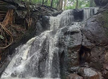 kenya/nairobi/attraction/karura-forest-gate-d