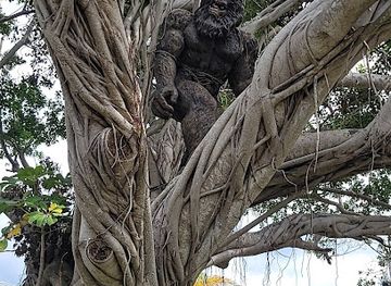 florida/fort-myers/attraction/calusa-blueway