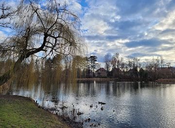 poland/poznan/jezyce/attraction/monumentalna-wierzba-placzaca