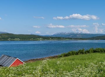 norway/senja-island/attraction/nerstraumen
