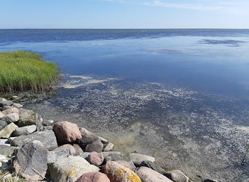 estonia/estonian-islands/attraction/salme-ship-s-funeral