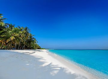 maldives/haa-alif-atoll/attraction/vashafaru-dive-water-sports