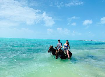 turks-and-caicos-islands/west-caicos/attraction/tci-heritage-horseback-riding-tours