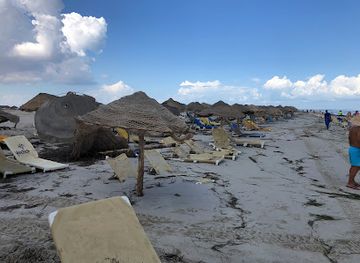 tunisia/sfax/attraction/l-ile-aux-flamants-roses