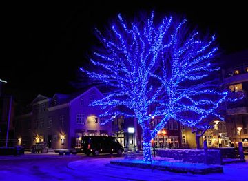 iceland/reykjavik-capital-area/attraction/fogetagarourinn