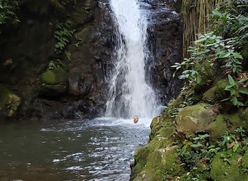 costa-rica/monteverde/attraction/catarata-los-murcielagos-monteverde-waterfall
