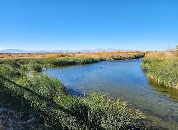 kentucky/henderson/attraction/clark-county-wetlands-park