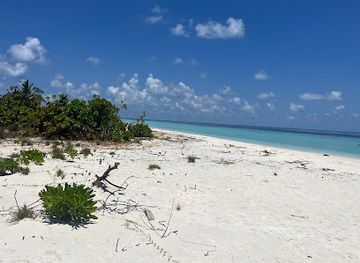 maldives/gnaviyani-atoll/attraction/jinnathgaa