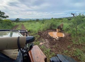 south-africa/durban/attraction/wild-routes-africa