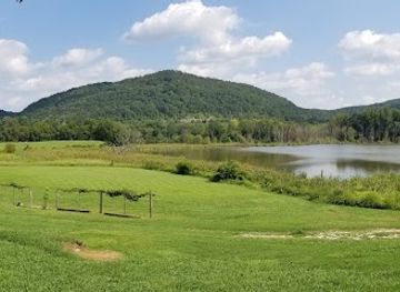 alabama/cherokee-rock-village/attraction/wills-creek-winery