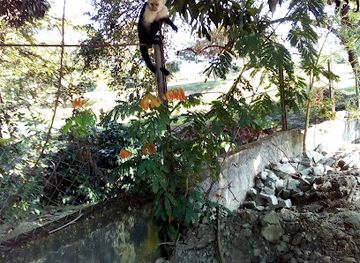 honduras/puerto-cortes/attraction/reserva-natural-los-monos