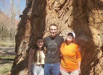 utah/canyonlands/attraction/largest-tree-in-the-state-of-utah