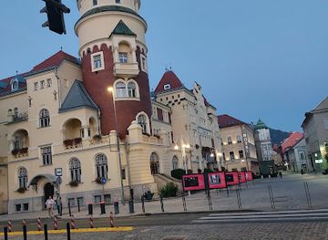 slovenia/celje/attraction/platana-pri-zelezniski-postaji-celje