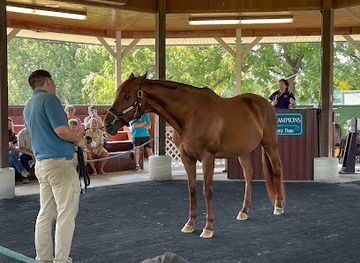 kentucky/lexington/attraction/hall-of-champions