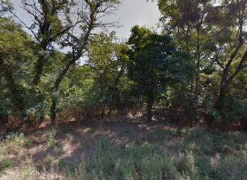 ukraine/zaporizhzhia-region/attraction/stary-dub