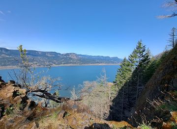 oregon/columbia-river-gorge/attraction/lobster-claw-view-point