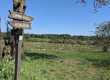 germany/eifel-national-park/attraction/kalltal