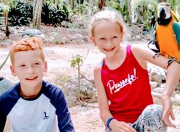 mexico/cozumel/attraction/akumal-natura-rescue