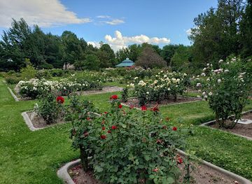Idlewild Park