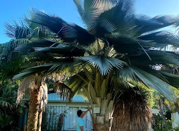 florida/key-west/attraction/key-west-tropical-forest-botanical-garden