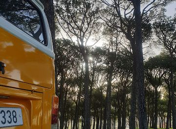 lebanon/bsharri-district/attraction/ghaba-sunupar