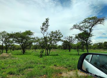 zambia/kasanka-national-park/attraction/lochinvar-national-park