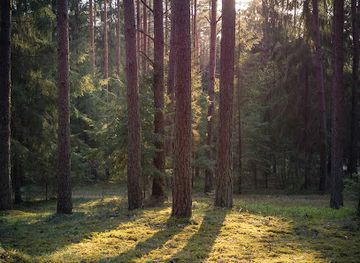 lithuania/kaunas-region/attraction/trail-of-springs